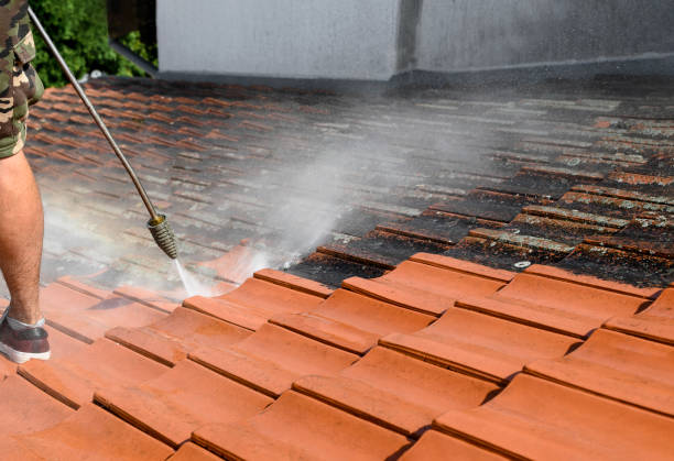 Best Deck Cleaning Services  in Missouri Valley, IA