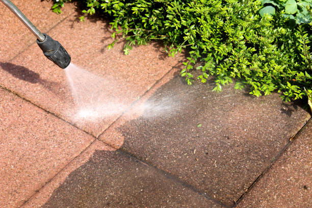 Best Pressure Washing Services for Businesses  in Missouri Valley, IA